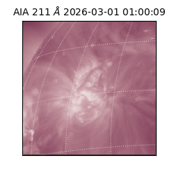 saia - 2026-03-01T01:00:09.631000