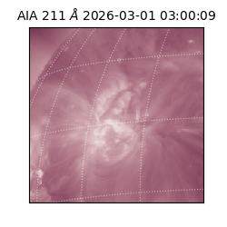 saia - 2026-03-01T03:00:09.623000