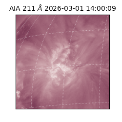 saia - 2026-03-01T14:00:09.619000