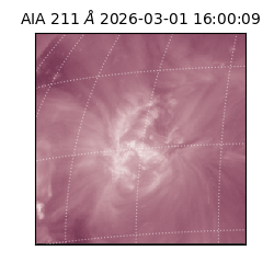 saia - 2026-03-01T16:00:09.625000