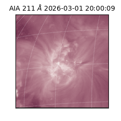 saia - 2026-03-01T20:00:09.626000