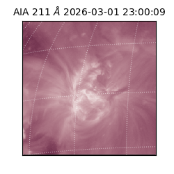 saia - 2026-03-01T23:00:09.619000