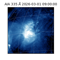 saia - 2026-03-01T09:00:00.622000