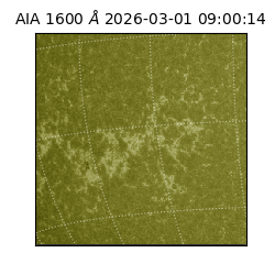 saia - 2026-03-01T09:00:14.118000