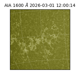 saia - 2026-03-01T12:00:14.125000