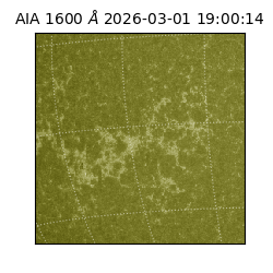 saia - 2026-03-01T19:00:14.124000