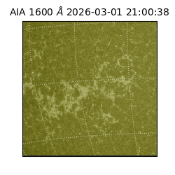 saia - 2026-03-01T21:00:38.126000