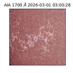 saia - 2026-03-01T03:00:28.721000