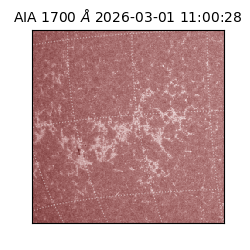 saia - 2026-03-01T11:00:28.717000