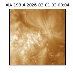 saia - 2026-03-01T03:00:04.839000