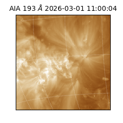 saia - 2026-03-01T11:00:04.835000