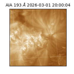 saia - 2026-03-01T20:00:04.843000
