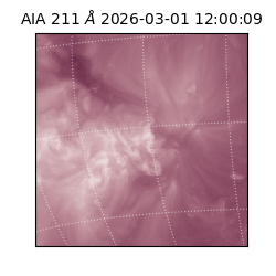 saia - 2026-03-01T12:00:09.633000