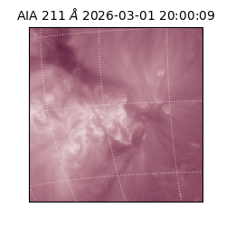 saia - 2026-03-01T20:00:09.626000