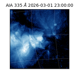 saia - 2026-03-01T23:00:00.625000