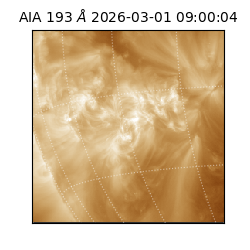 saia - 2026-03-01T09:00:04.835000