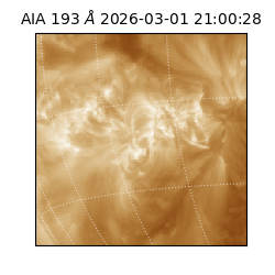 saia - 2026-03-01T21:00:28.843000