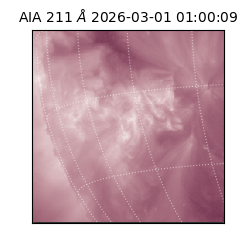 saia - 2026-03-01T01:00:09.631000