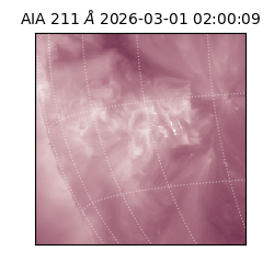 saia - 2026-03-01T02:00:09.629000