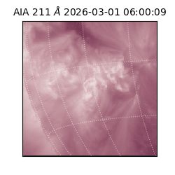 saia - 2026-03-01T06:00:09.619000