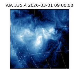 saia - 2026-03-01T09:00:00.622000