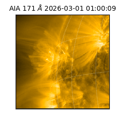 saia - 2026-03-01T01:00:09.353000