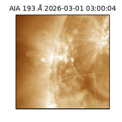 saia - 2026-03-01T03:00:04.839000