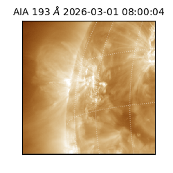 saia - 2026-03-01T08:00:04.835000