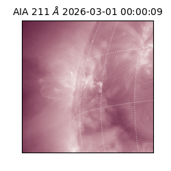 saia - 2026-03-01T00:00:09.631000