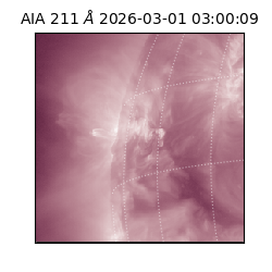 saia - 2026-03-01T03:00:09.623000