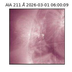 saia - 2026-03-01T06:00:09.619000