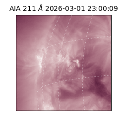 saia - 2026-03-01T23:00:09.619000