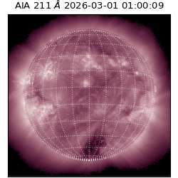 saia - 2026-03-01T01:00:09.631000