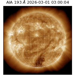 saia - 2026-03-01T03:00:04.839000