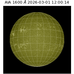 saia - 2026-03-01T12:00:14.125000