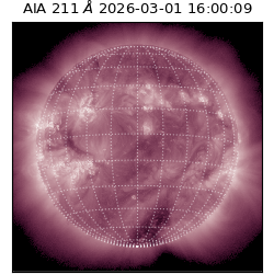 saia - 2026-03-01T16:00:09.625000