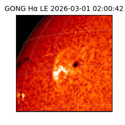 gong - 2026-03-01T02:00:42