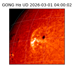gong - 2026-03-01T04:00:02
