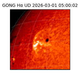 gong - 2026-03-01T05:00:02