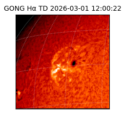 gong - 2026-03-01T12:00:22