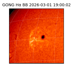 gong - 2026-03-01T19:00:02