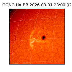 gong - 2026-03-01T23:00:02