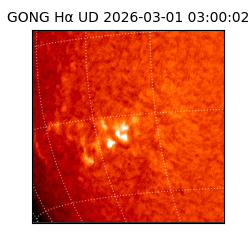 gong - 2026-03-01T03:00:02