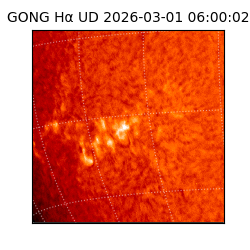 gong - 2026-03-01T06:00:02