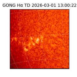 gong - 2026-03-01T13:00:22