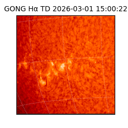 gong - 2026-03-01T15:00:22