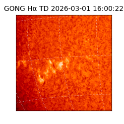 gong - 2026-03-01T16:00:22