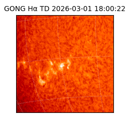 gong - 2026-03-01T18:00:22