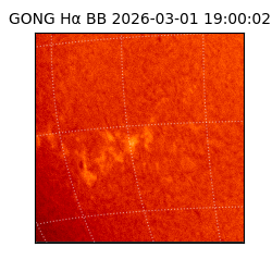 gong - 2026-03-01T19:00:02