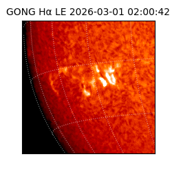 gong - 2026-03-01T02:00:42